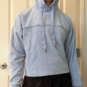 Cute blue velvet sweatshirt. Amuse society